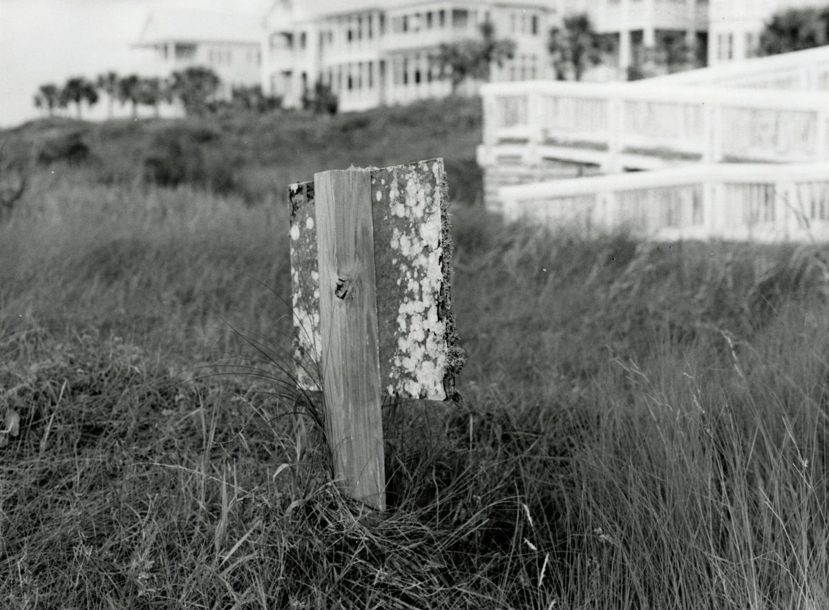 "Beachtown, TX" by Sara Ghauri, grade 12