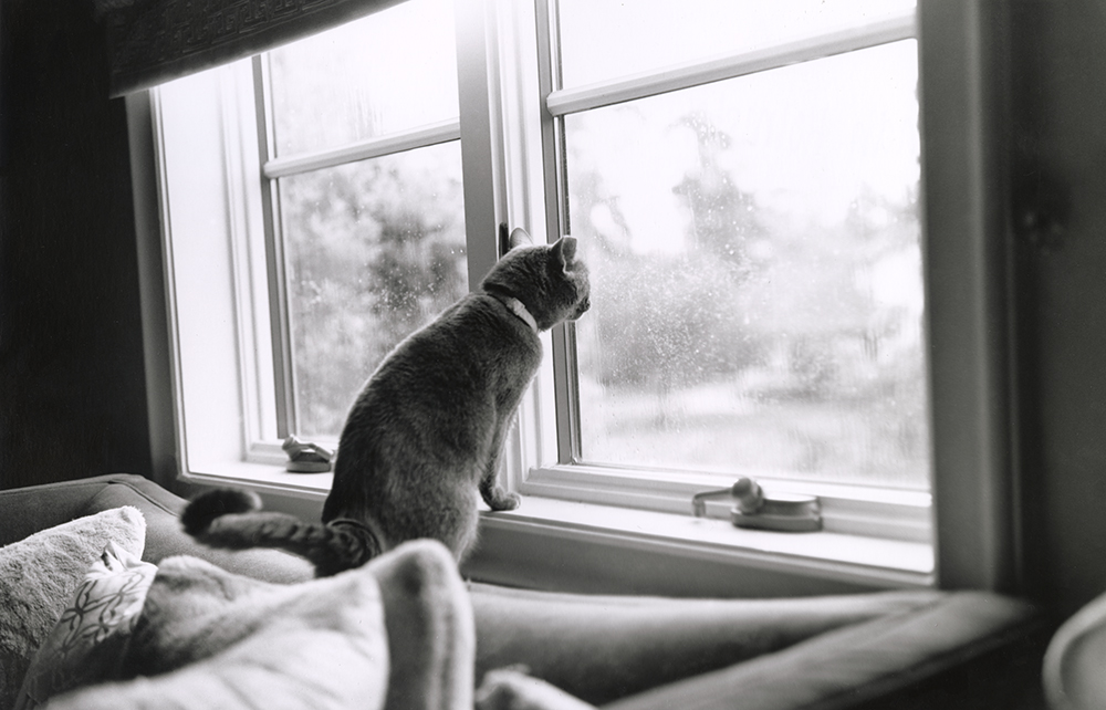 "Morning Watch" by Hannah Holmsten, grade 12